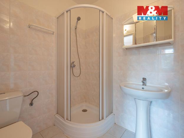 Pronájem atypického bytu, Divišov, Dalovská, 14 m2