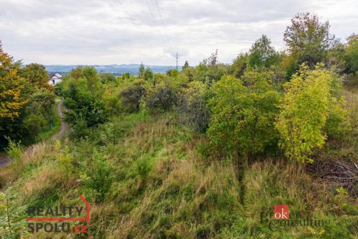 Prodej pozemku pro bydlení, Svojkov, 4351 m2