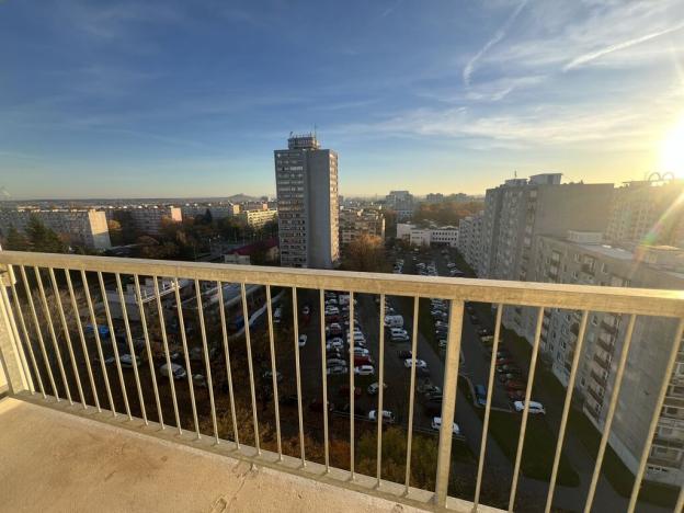 Pronájem bytu 1+kk, Pardubice - Polabiny, Družby, 34 m2