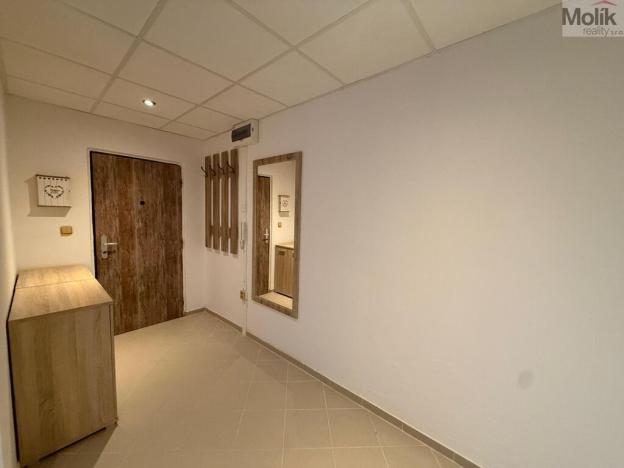 Pronájem bytu 2+kk, Most, Josefa Suka, 50 m2