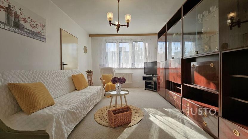 Prodej bytu 2+1, Písek, Dr. M. Horákové, 51 m2