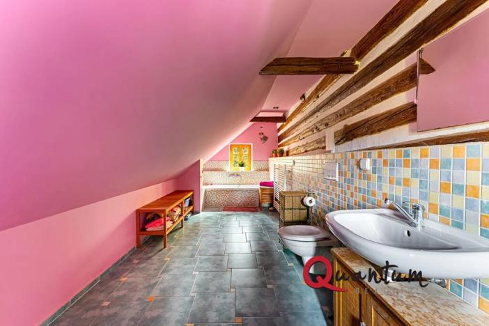 Prodej rodinného domu, Ždírec, 336 m2