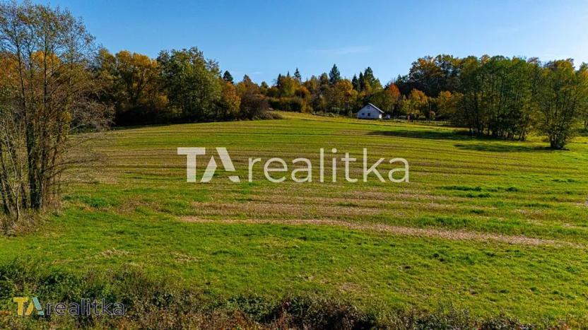 Prodej pole, Dětmarovice, 53698 m2