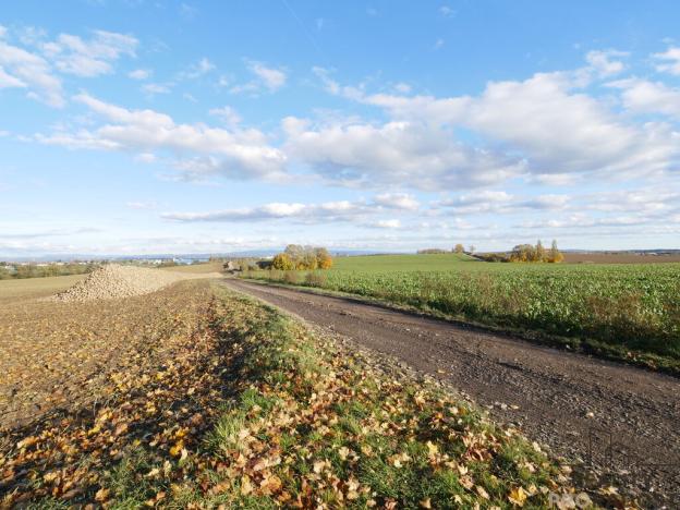 Prodej skladu, Jaroměř, Na Libinách, 1540 m2