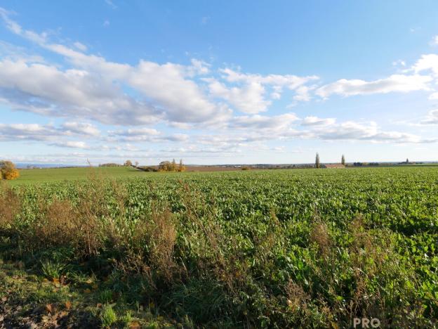 Prodej skladu, Jaroměř, Na Libinách, 1540 m2