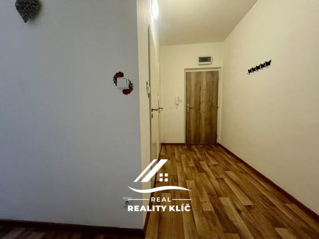 Pronájem bytu 1+1, Ostrava, Josefa Kotase, 38 m2