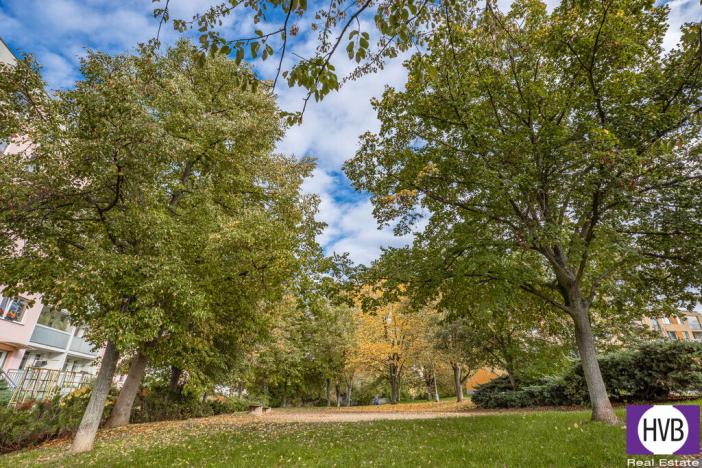 Prodej bytu 3+1, Praha, Urbánkova, 80 m2