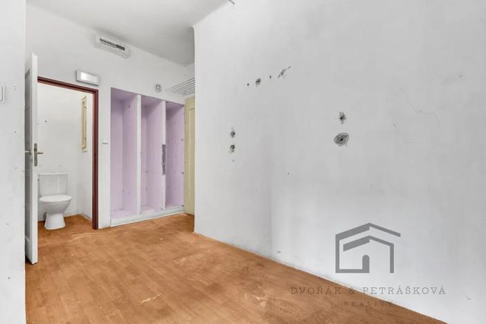 Prodej bytu 1+1, Praha - Nusle, Družstevní, 50 m2