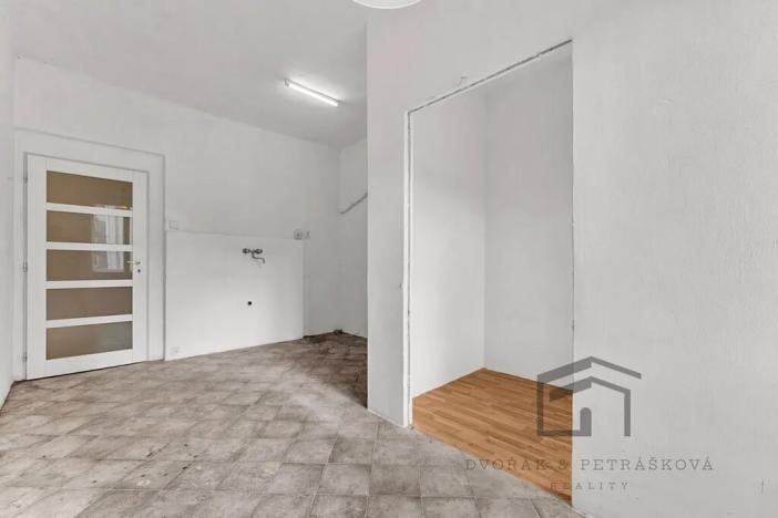 Prodej bytu 1+1, Praha - Nusle, Družstevní, 50 m2