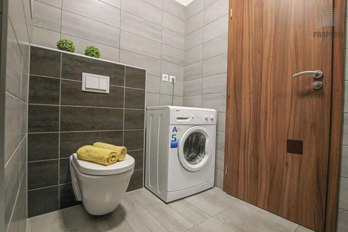 Pronájem bytu 1+kk, Brno, Lišejníková, 35 m2