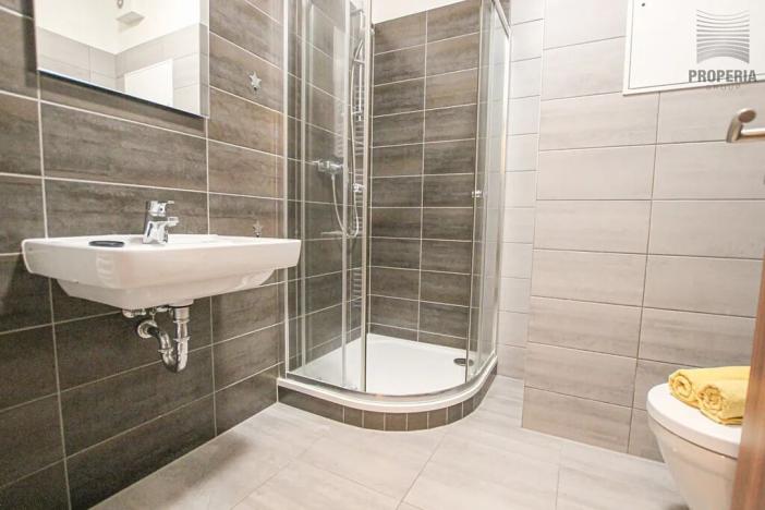 Pronájem bytu 1+kk, Brno, Lišejníková, 35 m2