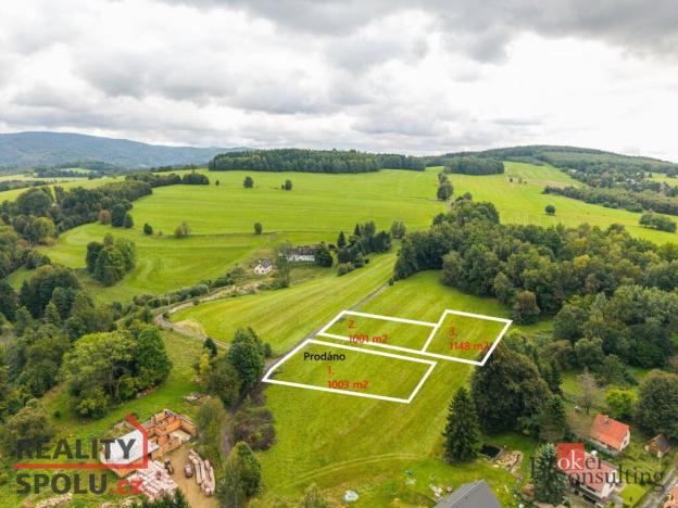 Prodej pozemku pro bydlení, Nová Ves, 1001 m2