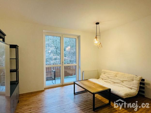 Pronájem bytu 2+kk, Zastávka, Havířská, 58 m2