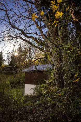 Prodej chaty, Heroltice, 40 m2