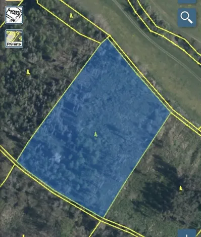 Dražba lesa, Kropáčova Vrutice, 15167 m2