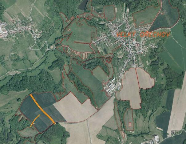 Prodej pole, Velký Ořechov, 11710 m2
