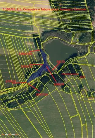 Prodej lesa, Černovice, 10978 m2