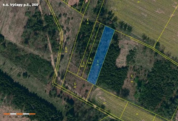 Prodej lesa, Výčapy, 1459 m2