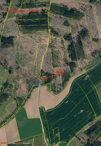 Prodej lesa, Zachotín, 792 m2