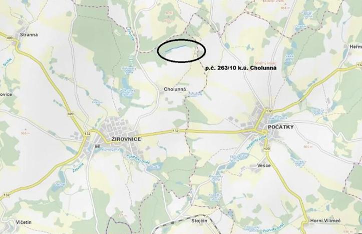 Prodej lesa, Žirovnice, 7361 m2