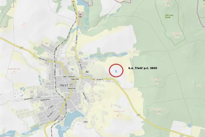 Prodej lesa, Třešť, 1987 m2