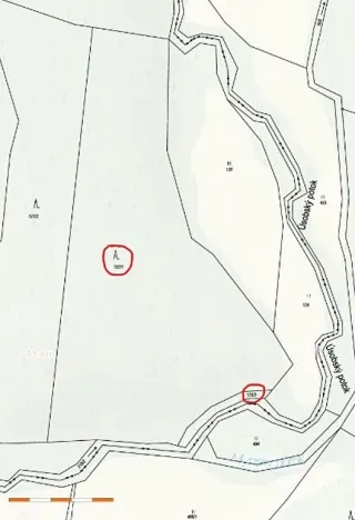 Prodej lesa, Havlíčkův Brod, 12933 m2