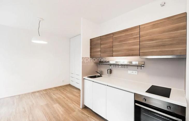 Pronájem bytu 2+kk, Praha - Vinohrady, Lucemburská, 50 m2