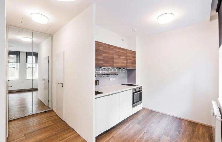 Pronájem bytu 2+kk, Praha - Vinohrady, Lucemburská, 50 m2