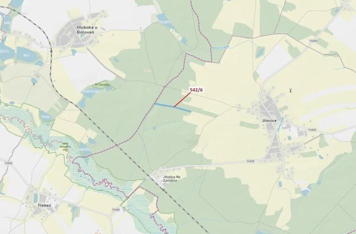 Dražba lesa, Jílovice, 13375 m2