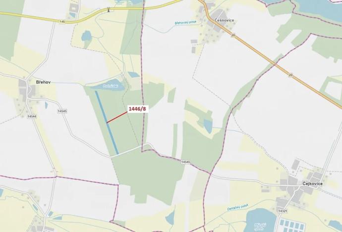 Dražba lesa, Břehov, 20146 m2