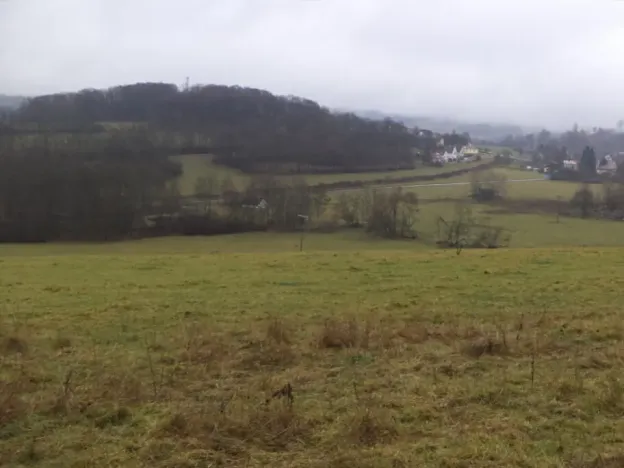 Dražba pole, Lovečkovice, 21494 m2