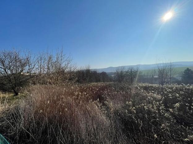 Dražba pole, Lovečkovice, 21494 m2