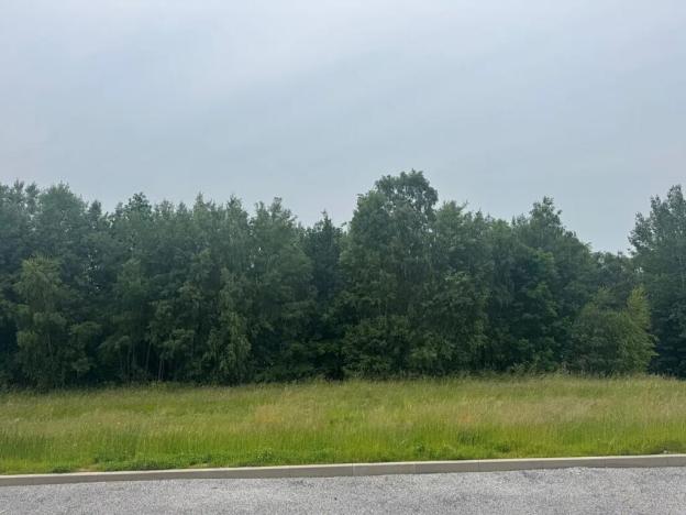 Dražba pozemku pro bydlení, Slavče, 1251 m2