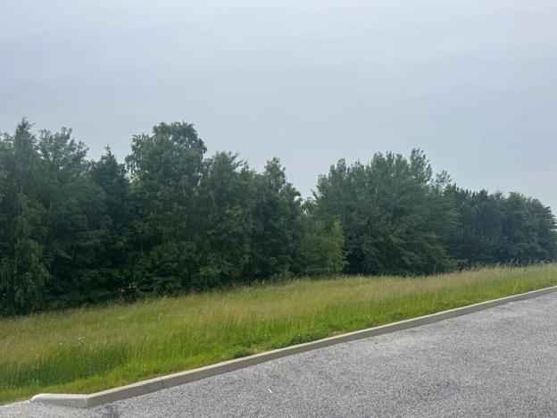 Dražba pozemku pro bydlení, Slavče, 1251 m2