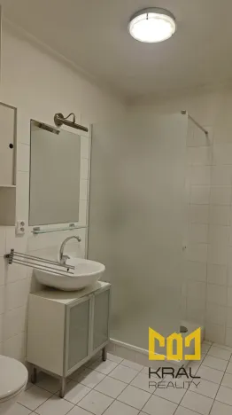 Pronájem bytu 2+kk, Jesenice, Cedrová, 225 m2