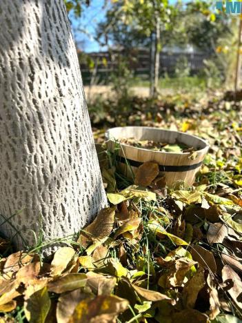 Prodej rodinného domu, Jiřice, 137 m2