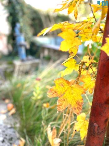 Prodej rodinného domu, Jiřice, 137 m2