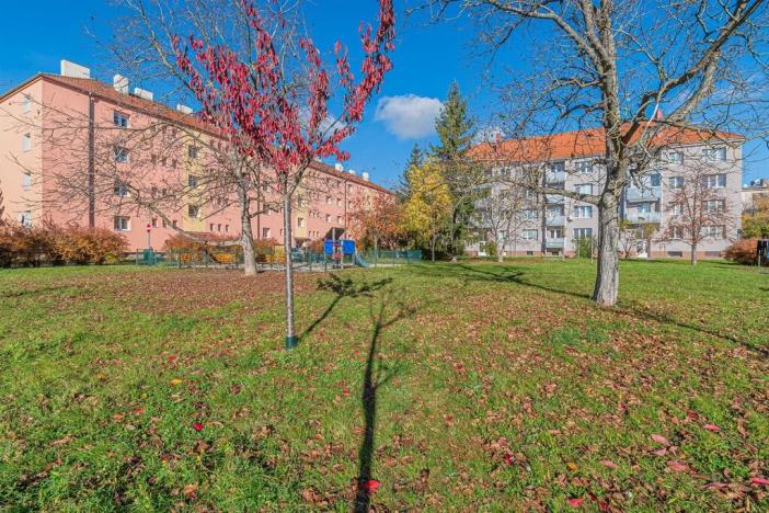 Pronájem bytu 2+1, Prostějov, Dr. Horáka, 60 m2