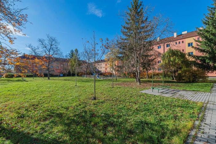 Pronájem bytu 2+1, Prostějov, Dr. Horáka, 60 m2