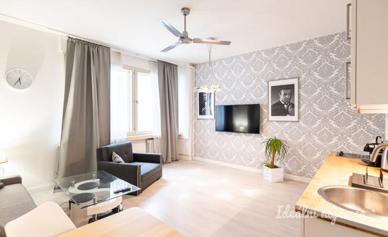 Pronájem bytu 2+kk, Praha - Nové Město, Opletalova, 42 m2