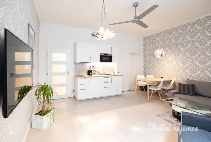 Pronájem bytu 2+kk, Praha - Nové Město, Opletalova, 42 m2