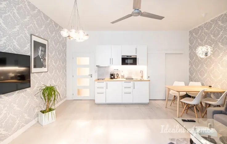 Pronájem bytu 2+kk, Praha - Nové Město, Opletalova, 42 m2