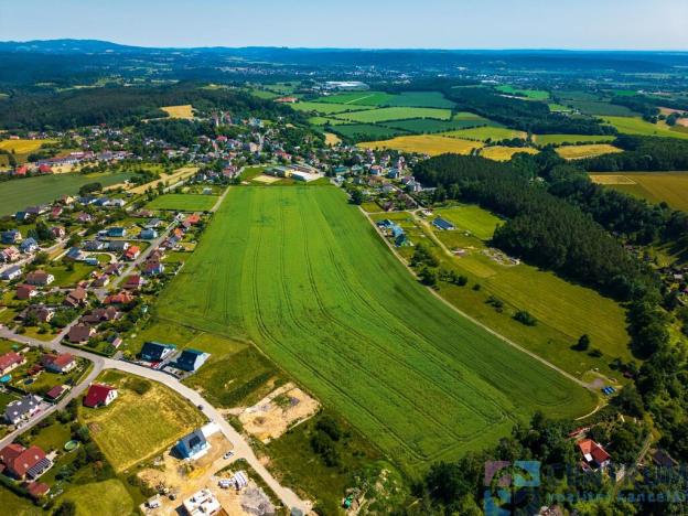 Prodej pozemku pro bydlení, Jenišovice, 54623 m2