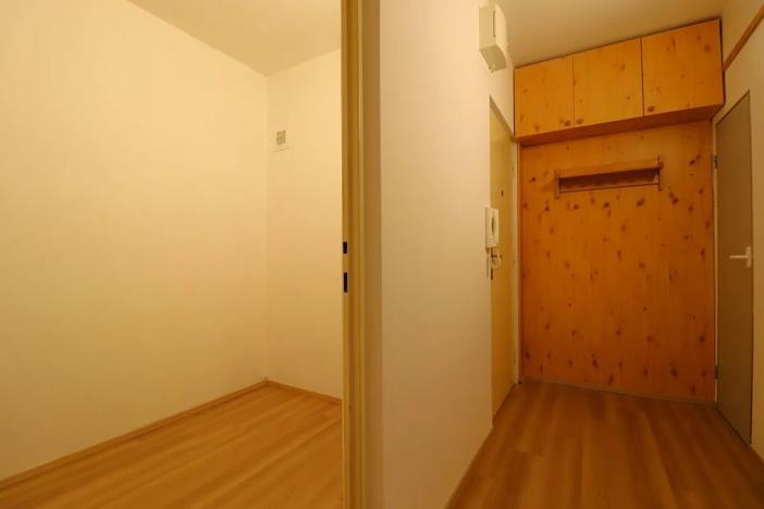 Pronájem bytu 2+1, Brno, Kvapilova, 56 m2