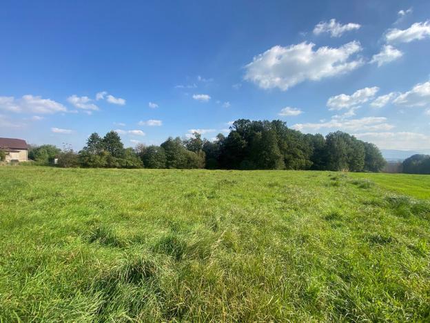 Prodej domu, Horní Bludovice, 524 m2