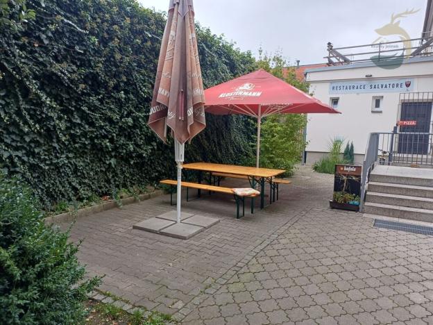 Pronájem restaurace, Sušice, Havlíčkova, 138 m2
