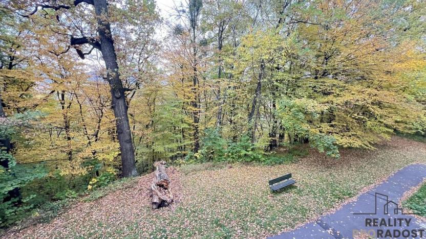 Prodej bytu 3+kk, Třinec, Topolová, 70 m2