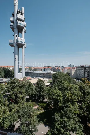 Pronájem bytu 2+1, Praha - Žižkov, Fibichova, 72 m2