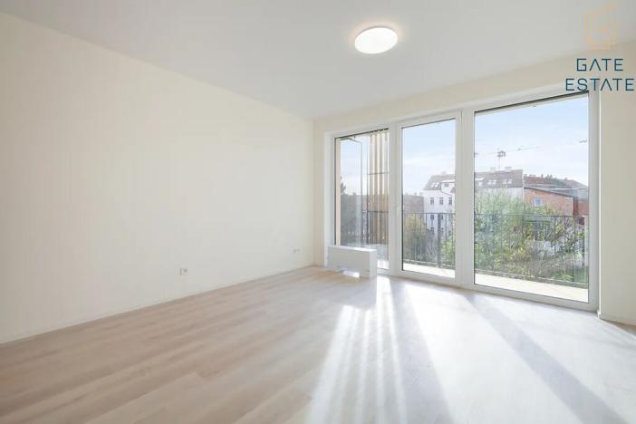 Pronájem bytu 1+kk, Brno, Dornych, 30 m2