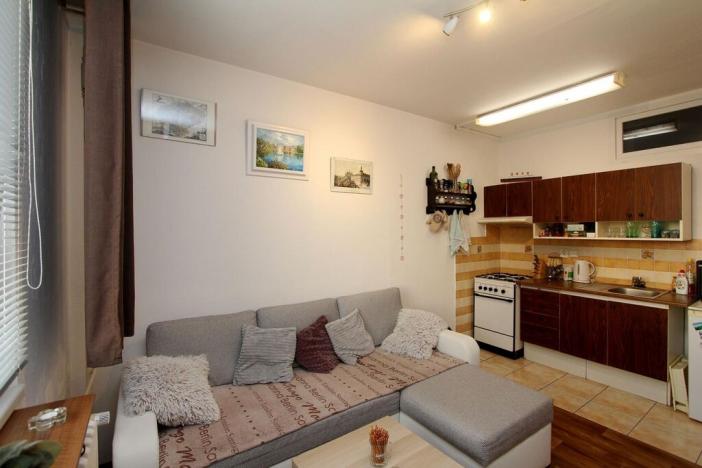 Prodej bytu 2+kk, Cihelna, Kunětická, 42 m2